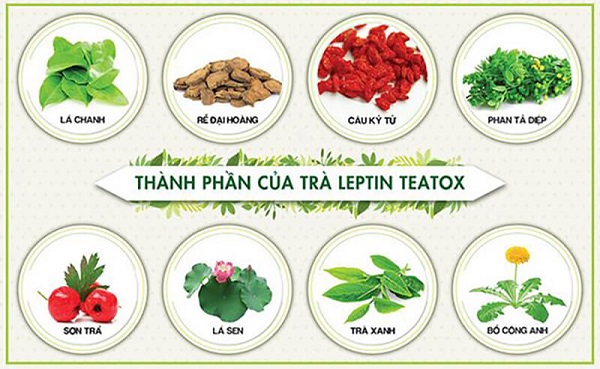 trà giảm cân leptin teatox chính hãng,trà giảm cân leptin teatox có tốt không,trà giảm cân leptin teatox gia bao nhieu,trà giảm cân leptin teatox mua ở đâu,trà giảm cân leptin teatox review,cách sử dụng trà giảm cân leptin teatox,trà giảm cân leptin teatox có hiệu quả không,giá trà giảm cân leptin teatox,trà giảm cân detox leptin teatox