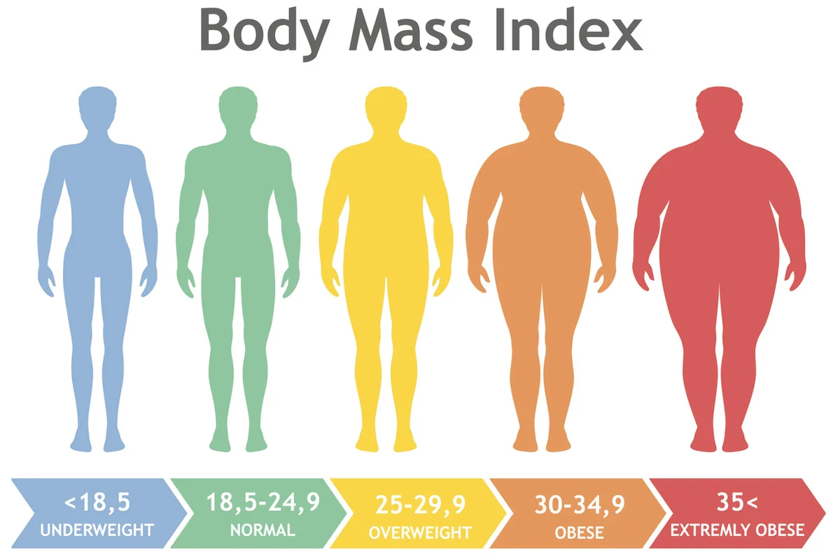 Với mỗi khoảng BMI sẽ được xếp vào các nhóm cơ thể khác nhau.