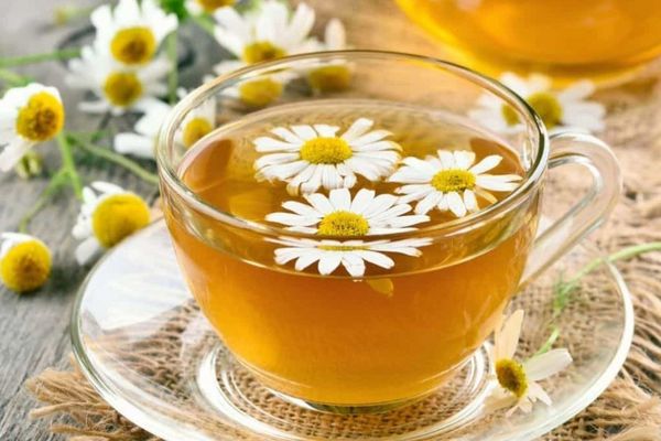 cách uống trà hoa cúc giảm cân cách làm trà hoa cúc giảm cân trà hoa cúc có giảm cân không uống trà hoa cúc có giảm cân không giảm cân bằng trà hoa cúc trà hoa cúc có tác dụng giảm cân không Trà hoa cúc bao nhiêu calo